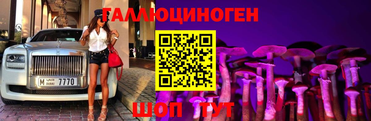 Галлюциногенные грибы MAGIC MUSHROOMS  купить наркоту  Новосибирск  Вход с VPN 